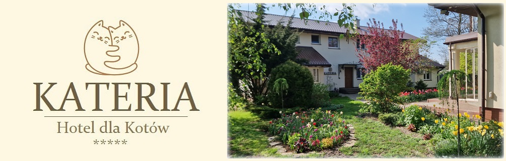 Kateria - hotel dla kotów - pet hotel