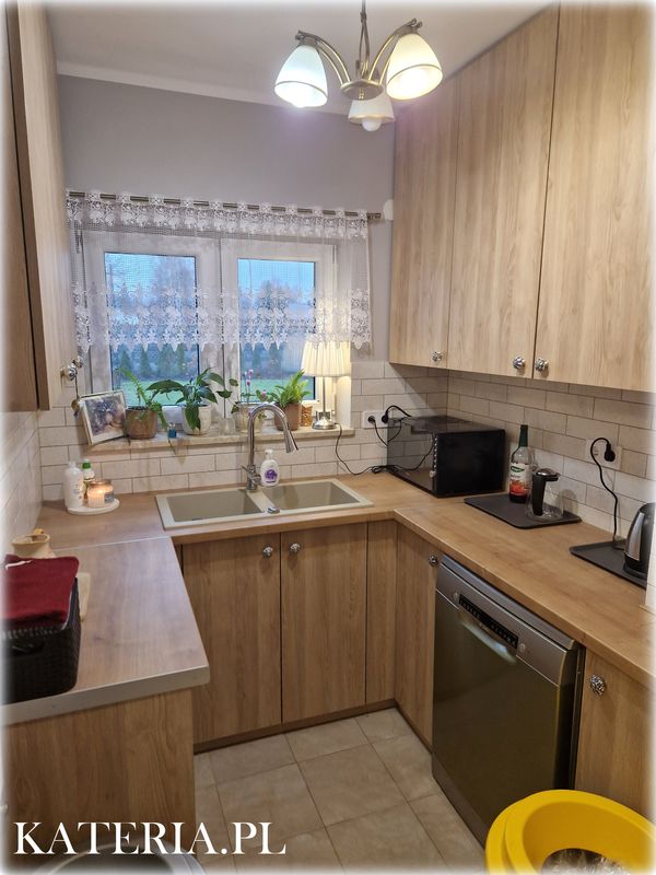 Kuchnia w hotelu dla kotów Kateria
