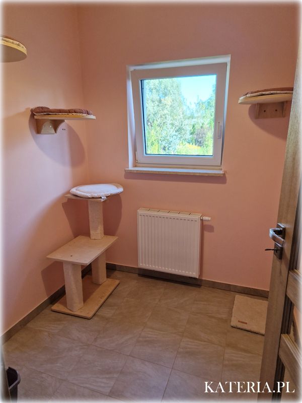 Pokój w hotelu dla kotów Kateria