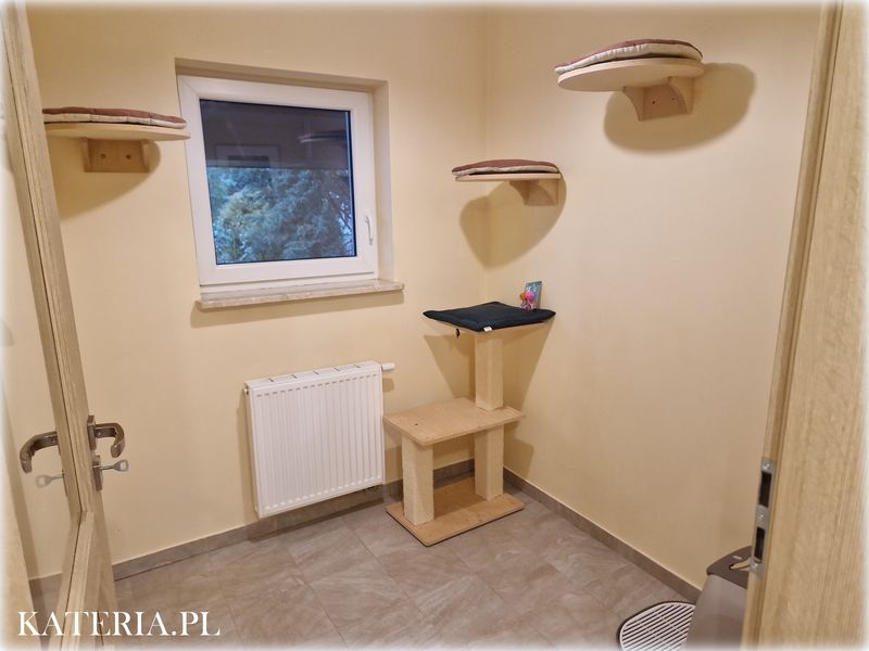 Pokój w hotelu dla kotów Kateria