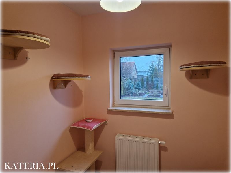 Przestrony i przyjazny pokój w hotelu dla kotów Kateria