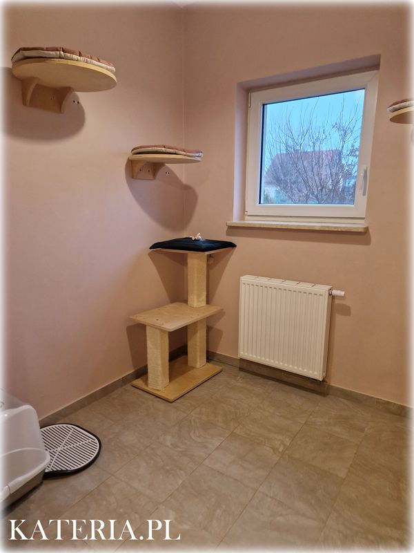 Pokój w kocim hotelu Kateria 